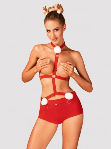 OBSESSIVE MS. REINDY RÉNSZARVAS  M/L